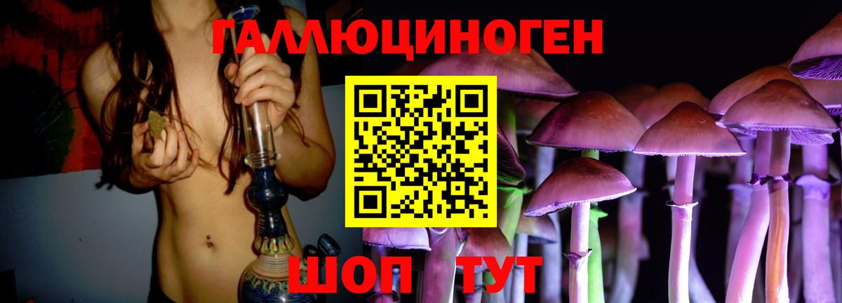 Псилоцибиновые грибы Psilocybe  Вход с VPN  Ишимбай 